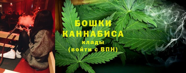 ГАЛЛЮЦИНОГЕННЫЕ ГРИБЫ Тутаев