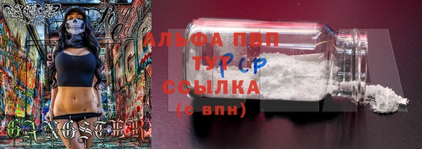 ГАЛЛЮЦИНОГЕННЫЕ ГРИБЫ Тутаев