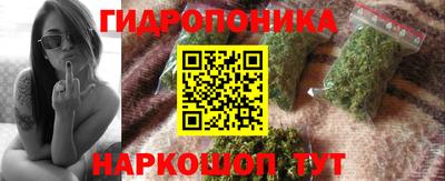 молекула духа Жуковский