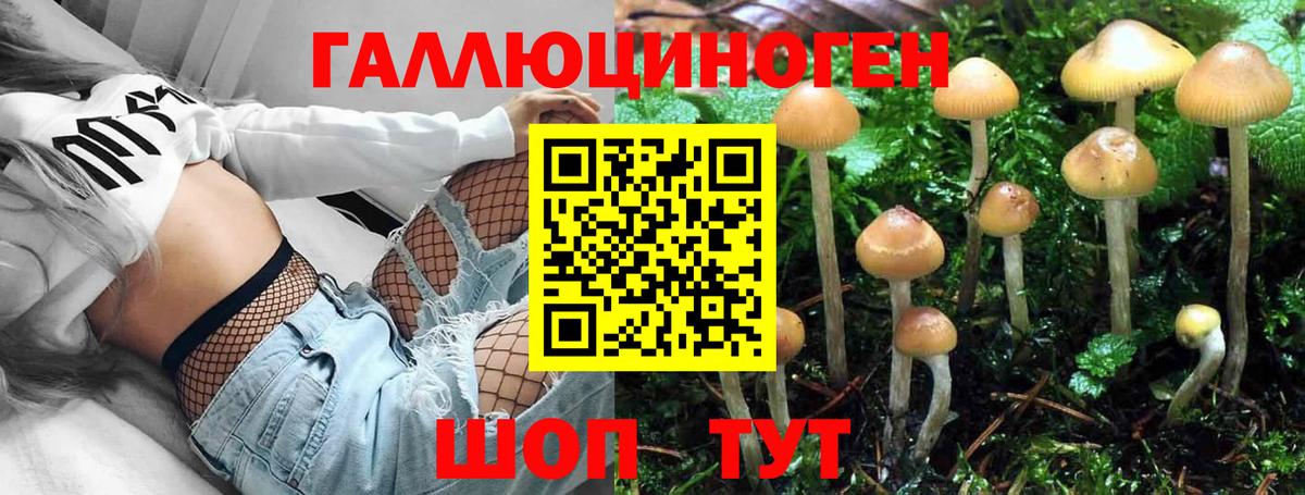 Псилоцибиновые грибы прущие грибы Оренбург