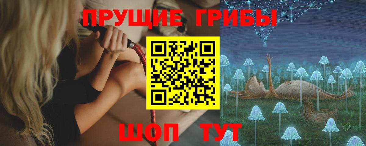 Оренбург  Галлюциногенные грибы мухоморы  Вход с VPN  Галлюциногенные грибы Psilocybine cubensis 